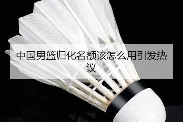 中国男篮归化名额该怎么用引发热议